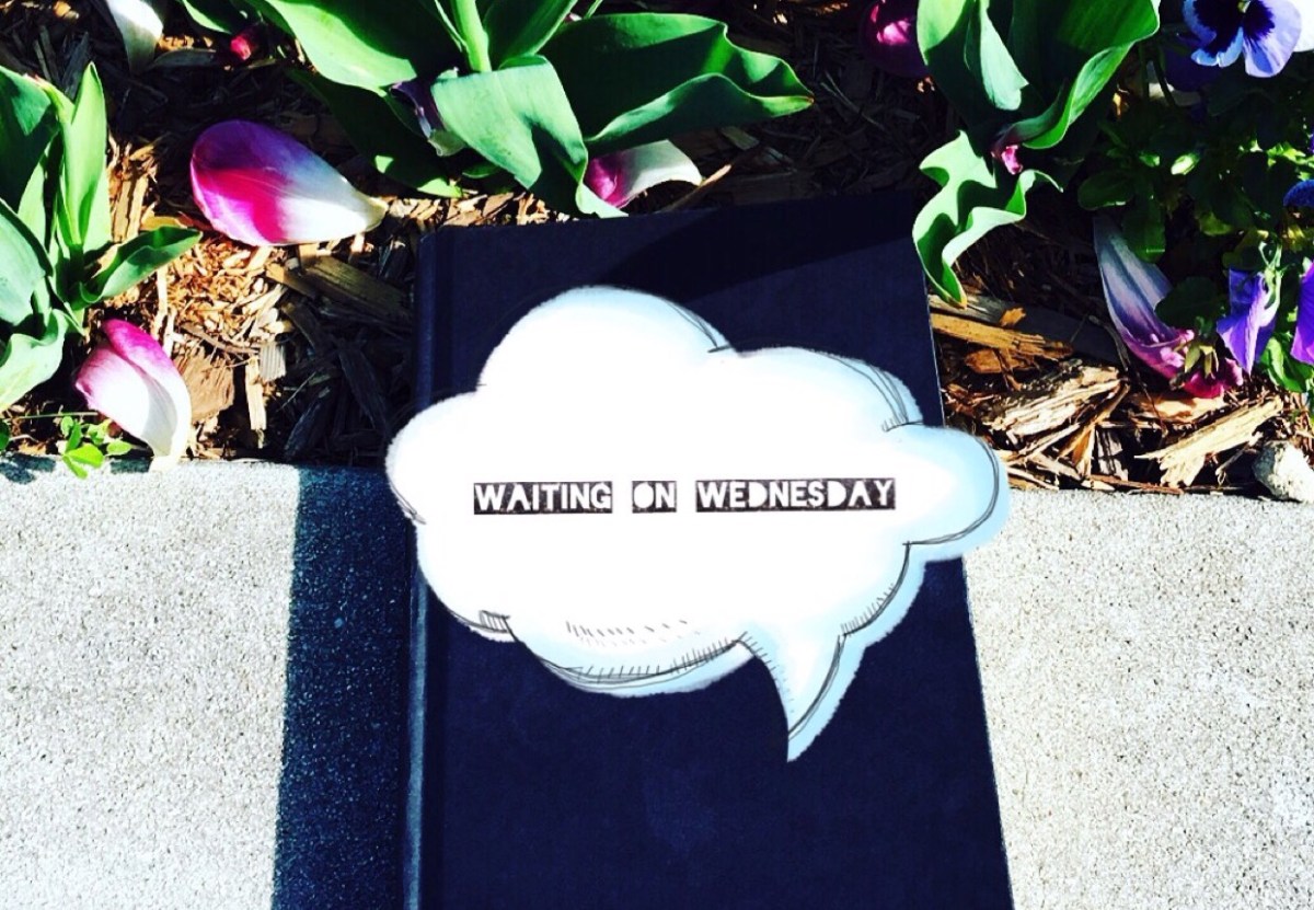Waiting On Wednesday 