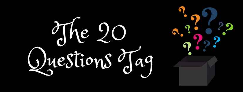 The 20 Questions&nbsp;Tag